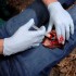 Аппликатор гемостатический с гранулами Rhino Rescue в Балаково хитозановый