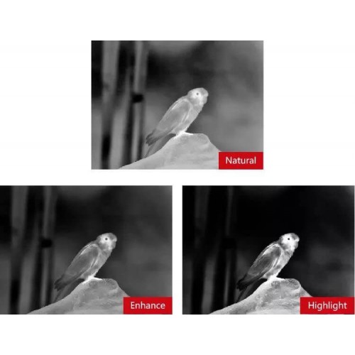 Тепловизионный бинокуляр Guide TN430 400х300, ø35мм, лазерный дальномер в Балаково