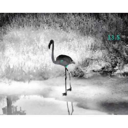 Тепловизионный бинокуляр Guide TN430 400х300, ø35мм, лазерный дальномер в Балаково