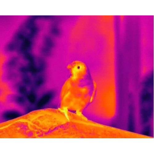 Тепловизионный бинокуляр Guide TN430 400х300, ø35мм, лазерный дальномер в Балаково